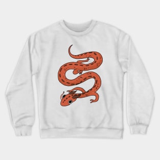 Dragon's Drool Crewneck Sweatshirt